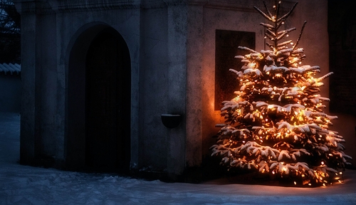 Simon Lohmann / unsplash.com